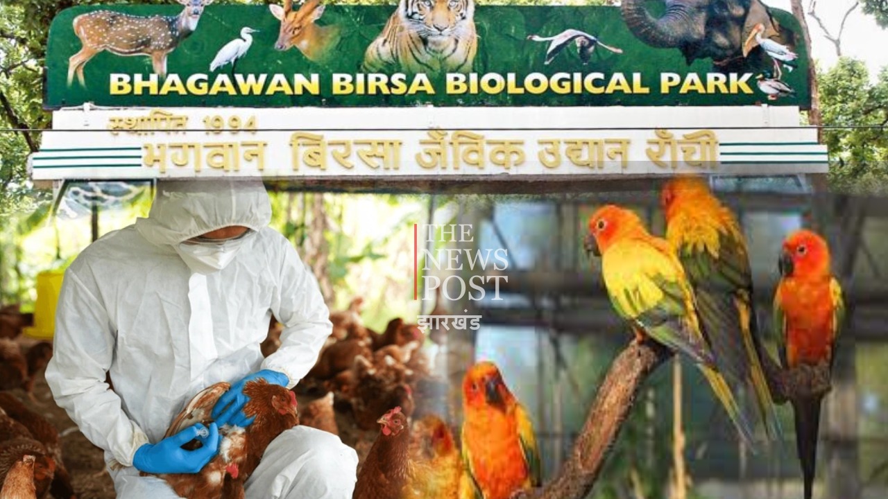 बिरसा मुंडा जैविक उद्यान को अगले 15 दिनों तक पर्यटकों के लिए किया गया बंद,जानिए क्या है कारण