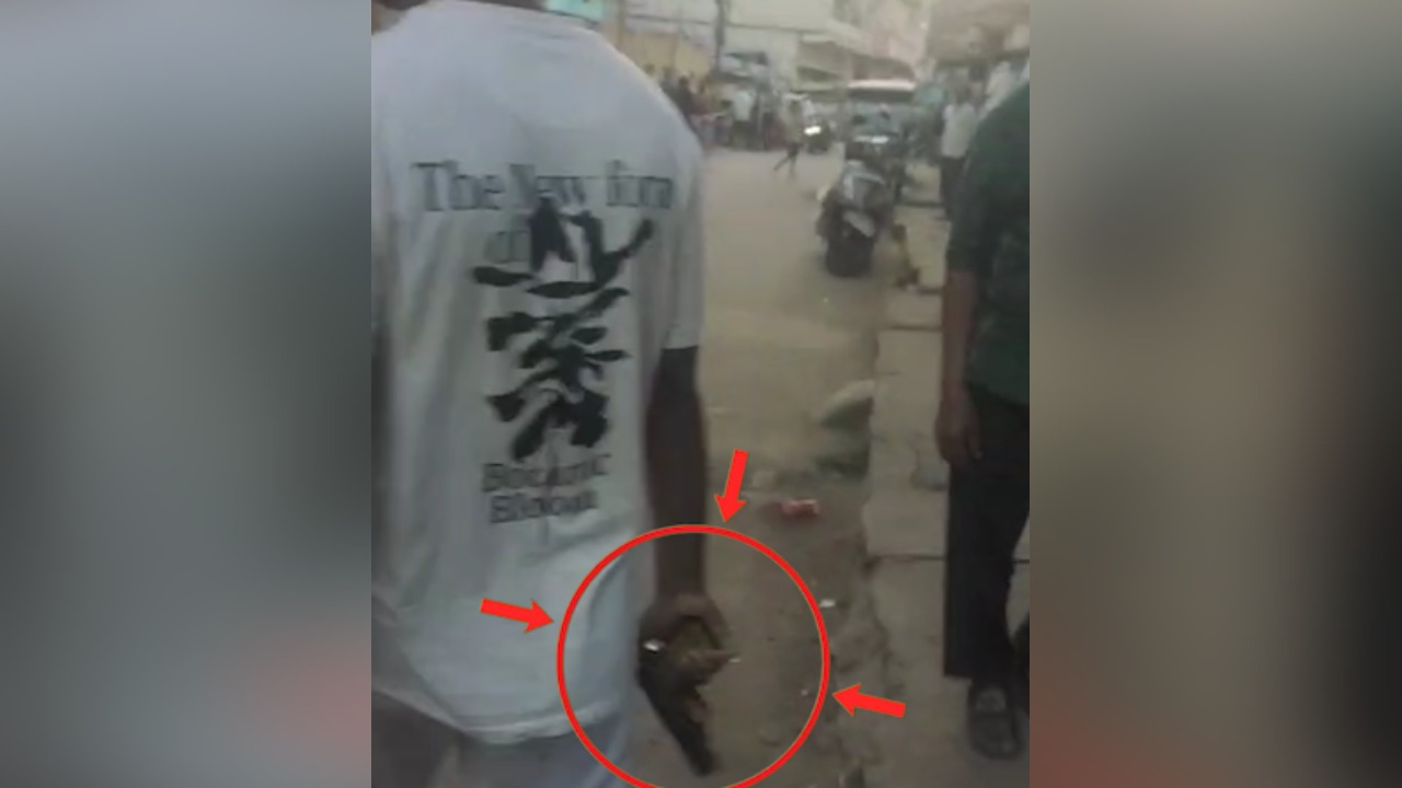 जमीन विवाद में फिर गोलीबारी से थर्रायी रांची, अपराधियों ने खुलेआम चलाई गोली, देखिए गोलीबारी का LIVE वीडियो