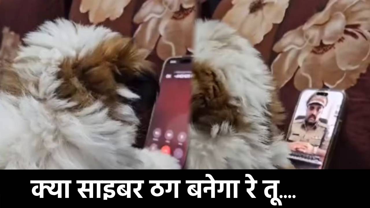 जब कमिश्नर से वीडियो कॉल पर बात करने लगा कुत्ता, हंस-हंस कर लोटपोट हो गया साइबर अपराधी, देखिए वीडियो