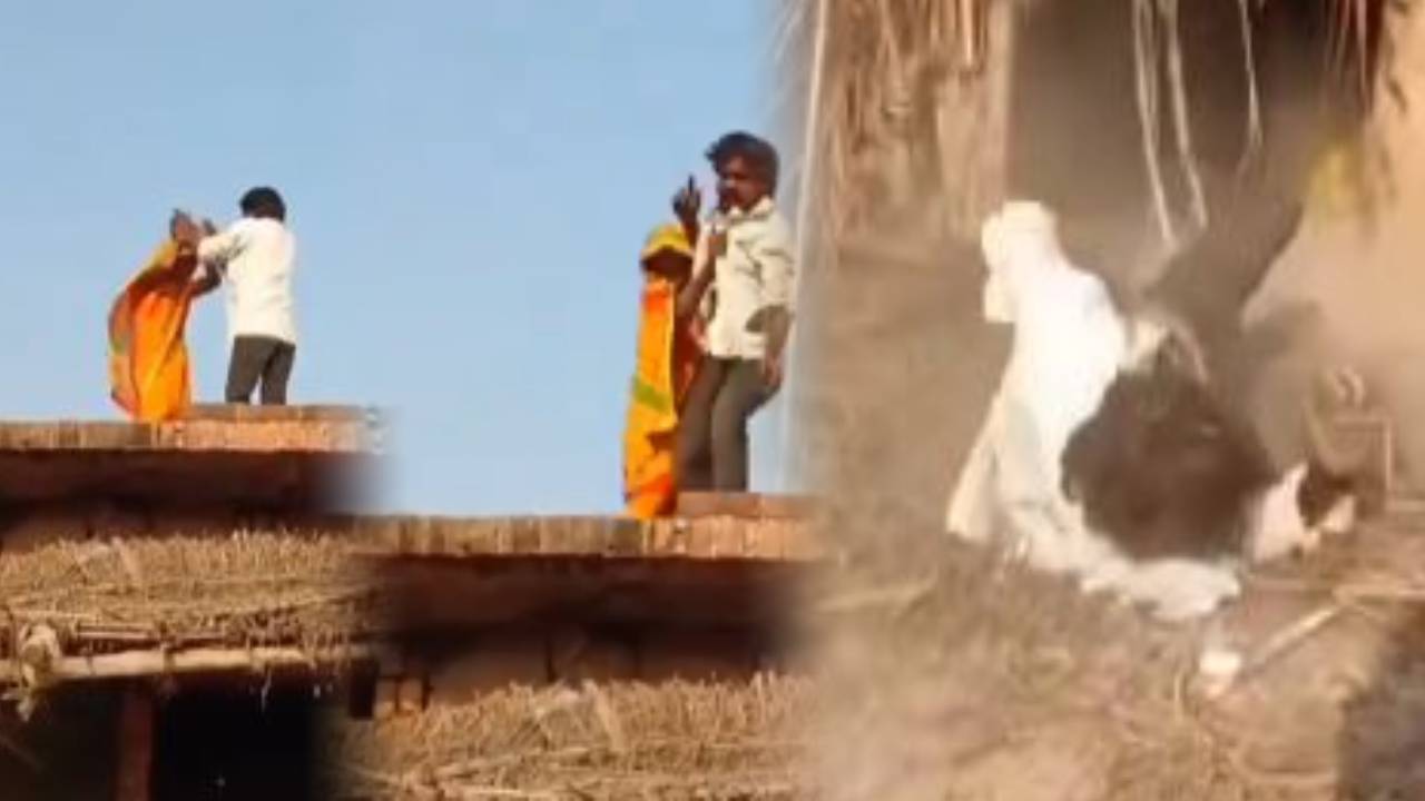 'पूरे पति समाज में खौफ...' पत्नी को आया गुस्सा तो छत से ही दे दिया पति को धक्का, छज्जा तोड़ता हुआ धड़ाम से नीचे गिरा शख्स