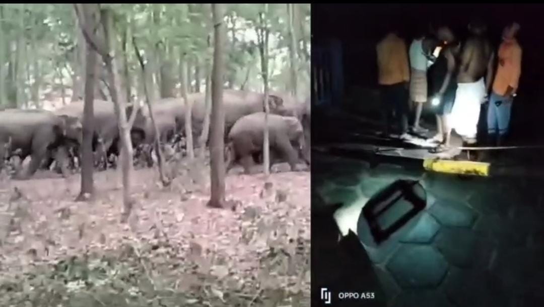 हाथियों के उत्पात से रेलवे प्रशासन भी परेशान, रेल फाटक तोड़ा, बड़ा हादसा टला, देखिए Video