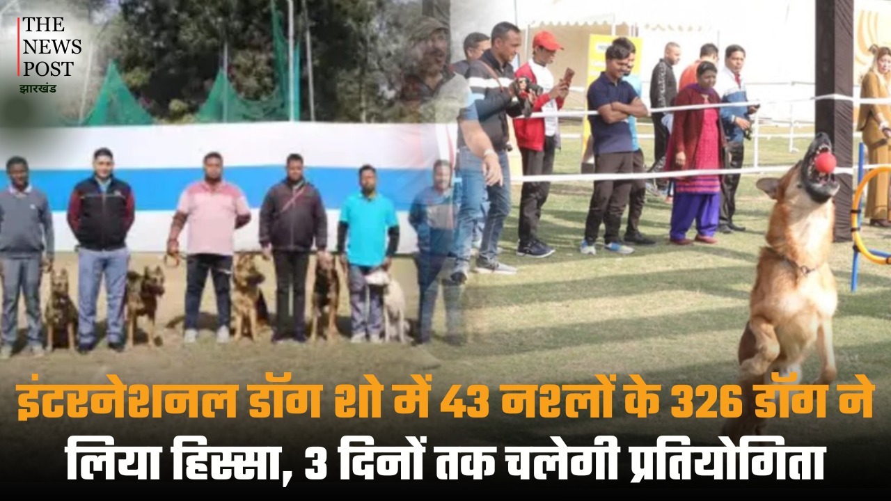 इंटरनेशनल डॉग शो में 43 नस्लों के 326 डॉग ने लिया हिस्सा, 3 दिनों तक चलेगी प्रतियोगिता