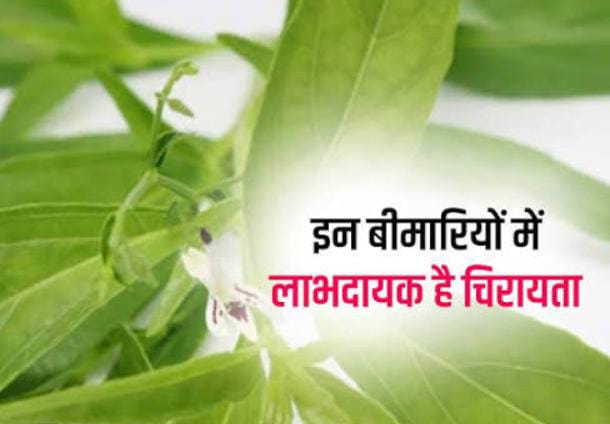 खून को फिल्टर करता है सड़क पर बिकनेवाला ये सस्ता जड़ी बूटी, इन गंभीर बिमारियों से भी मिलता है निजात